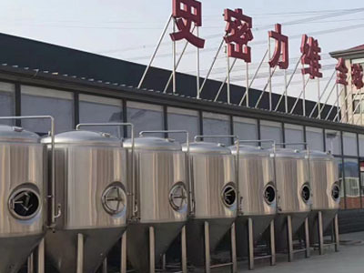 张家口精酿啤酒设备厂—市场规模与跨界新需求